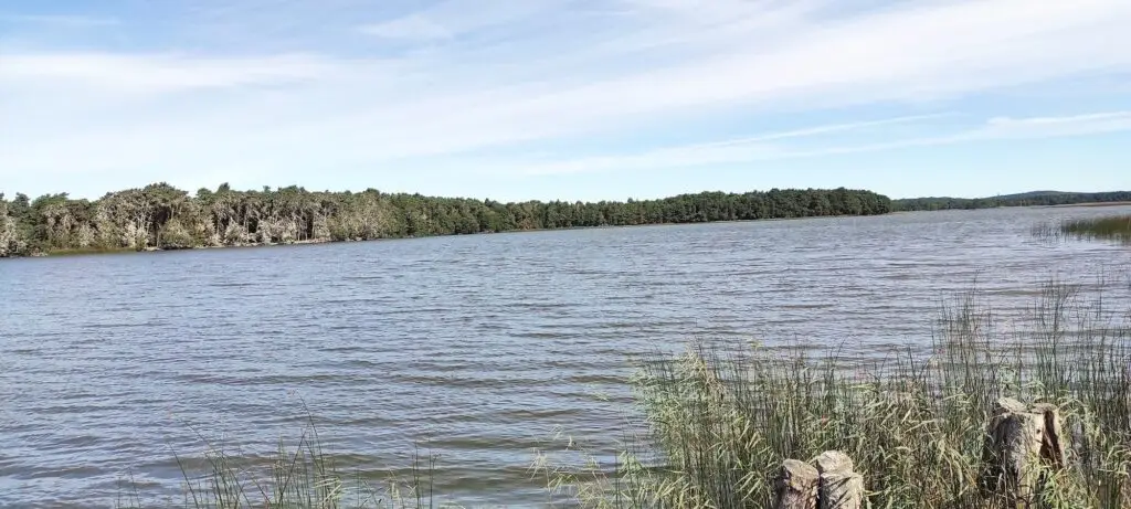 Jezioro Dołgie Wielkie - Dom Riwiera Rowy