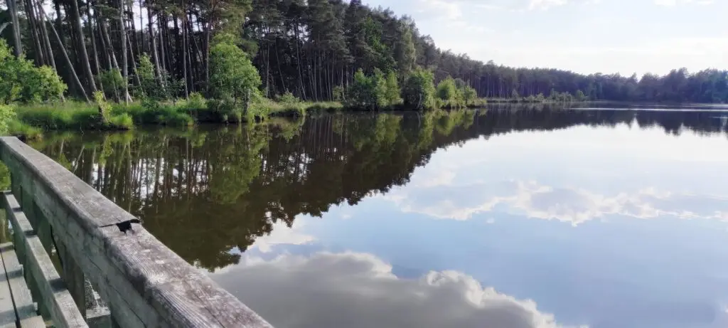 Dom Riwiera Rowy na Wynajem nad Morzem