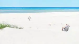 Dom Riwiera Rowy na Wynajem Morze Blisko Plaży Dom Riwiera Rowy na Wynajem Morze Blisko Plaży